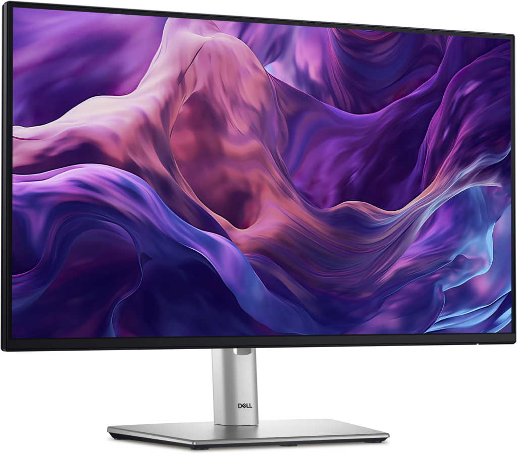 Dell Pro 24 Plus P2425H - Monitor 23.8" FHD 100 Hz - Panel IPS - HDMI / DisplayPort / VGA - Hub USB - Altura ajustable